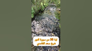 قراءة هادئة للشيخ سعد الغامدي # اية 35 من سورة النور