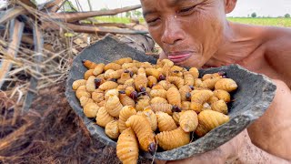 Amazing Eating Coconut Worms and Easy to Find in Palm Tree in My Village