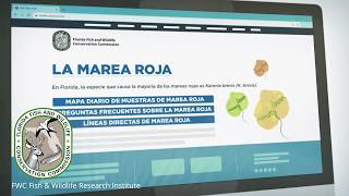 Navegando por los recursos de la marea roja: Recursos en línea