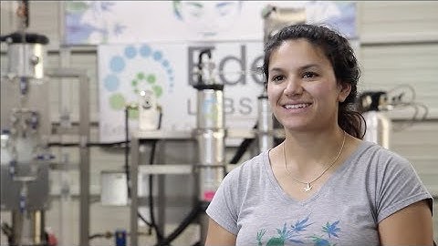 How Heylo Cannabis Chose a CO2 Extraction System