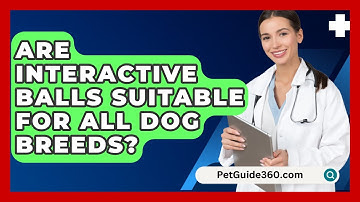 Are Interactive Balls Suitable For All Dog Breeds? - PetGuide360.com