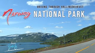 Norway-Hallingskarvet National park Scenic & Relaxing Drive | Fantastic Fjords- EP10/S01