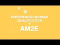 What is the AM2E Assessment?