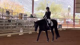 2023 USEF First Level Test 3 — Lyon