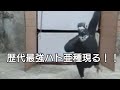 歴代最強ハト亜種現る 過去トラップ
