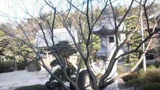 In Which I Visit A Buddhist Temple Japan Abarebugyo