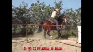 antonio locanto - achille 25 7 2010.avi