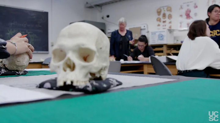 ANTH 103I - Forensic Anthropology - Alison Gallowa...
