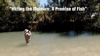 'Hitting the Mataura: A Promise of Fish'