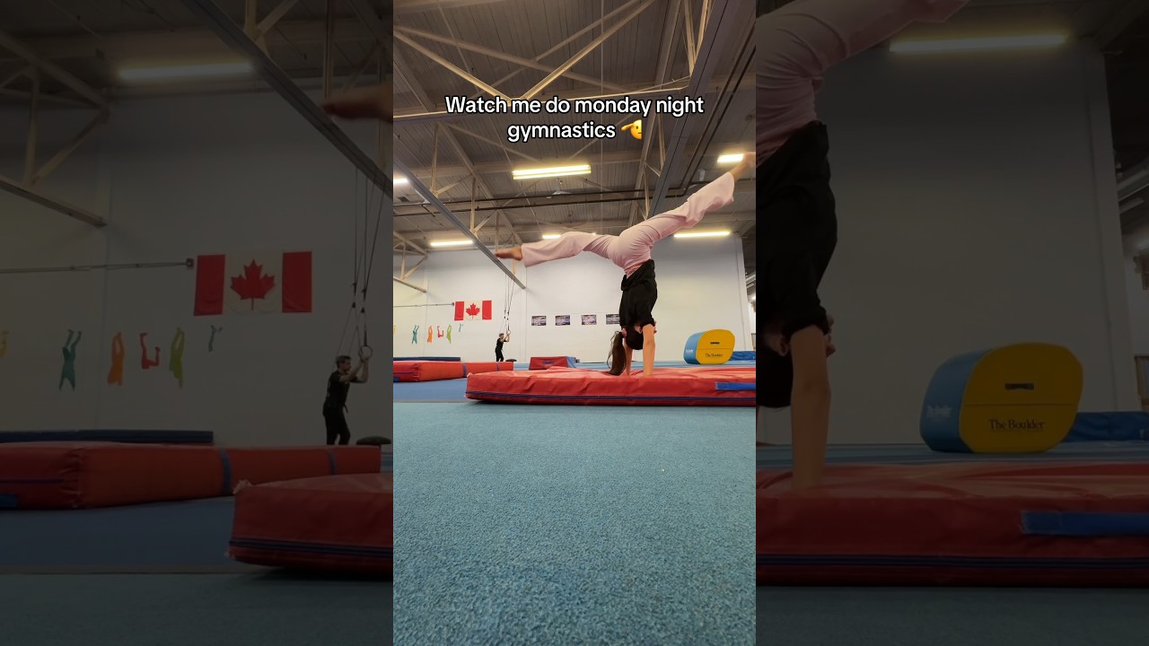 beginner adult gymnastics classes 🫡 #gymnastics #gymnast