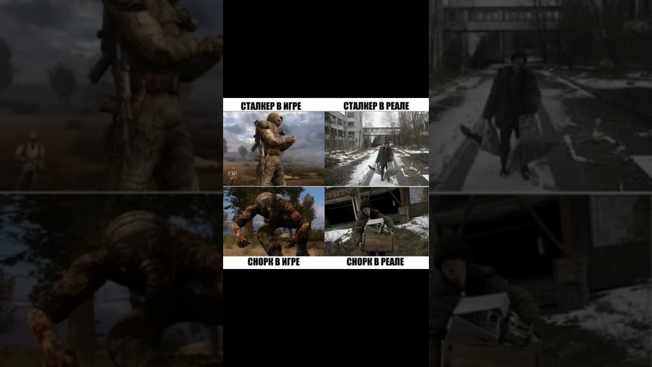 Сталкер мемы #2 / 