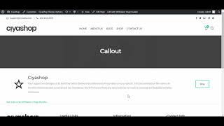 Callout  Shortcode Option | Ciyashop Ecommerce Themes