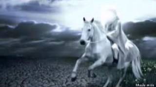 Саад ибн Абу Ваккос...Абдуллох домла