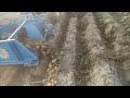 Potato digger #shorts #kisan #potatodigger #machine