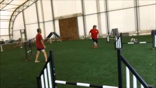 Masters Camp 2013: Stuart Mah Drills on Obstacle vs. Handler Focus