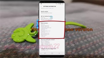 Android Nougat : How to Find Knox version in Samsung Galaxy S8 or S8+