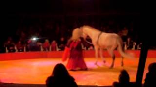 Лошадь в цирке