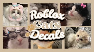 ROBLOX || Bloxburg & Royale High ~ Cats Decals Ids