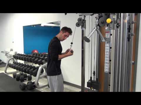 Straight Bar Underhand Tricep Pushdowns