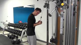 Straight Bar Underhand Tricep Pushdowns