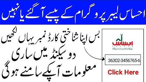 How to check your ehsas labour program application status | Ehsas Labour Program