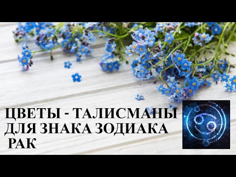 ЦВЕТЫ-ТАЛИСМАНЫ ДЛЯ ЗНАКА ЗОДИАКА  РАК.