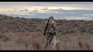 Colorado Coyote Crackdown | S1:E9