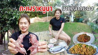 กะเพราหนูนาสูตรโคราชลาบหลนปลาช่อนกระพงสูตรเชียงใหม่อร่อยๆกลางสวนบ้านไร่นายชาม #ร้อนๆเลาะเล 10