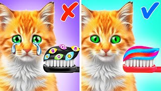 Pomni Saved This Kitten 🤡 *Cool Cat Adventures at Digital Circus* by Purr Tool 17,116 views 1 month ago 20 minutes