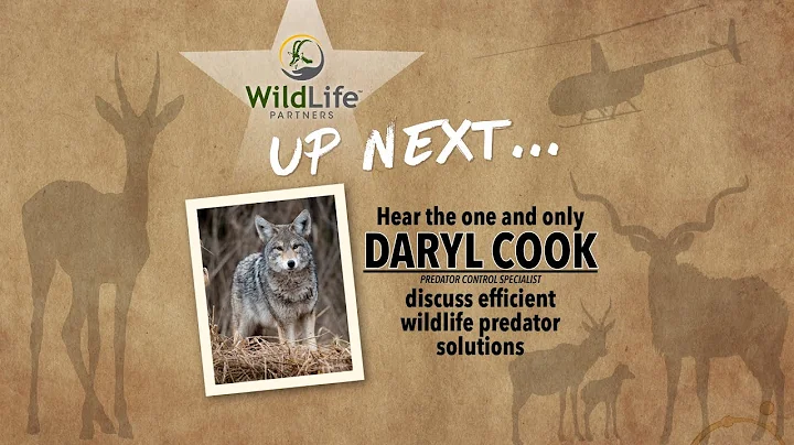 Daryl Cook, Owner/Operator, Predator Solutions on ...