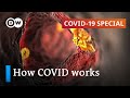 How does coronavirus attack your body? | COVID-19 Special