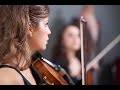 Fields of Gold - Sting - Stringspace String Quartet cover