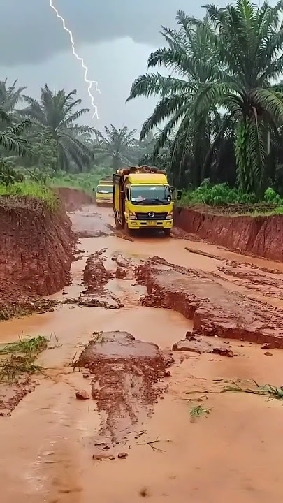 Truk Sawit Melaju di Jalan Lumpur