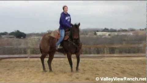 Chic My Boon      ***For info, price, etc., go to our website***  Valley View Ranch