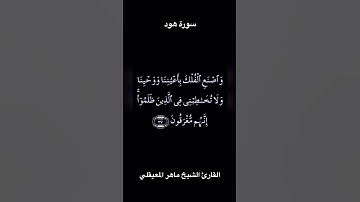 تلاوة عطرة من سورة هود