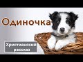 🖤 Одиночка - ИНТЕРЕСНЫЙ ХРИСТИАНСКИЙ РАССКАЗ | Христианские рассказы