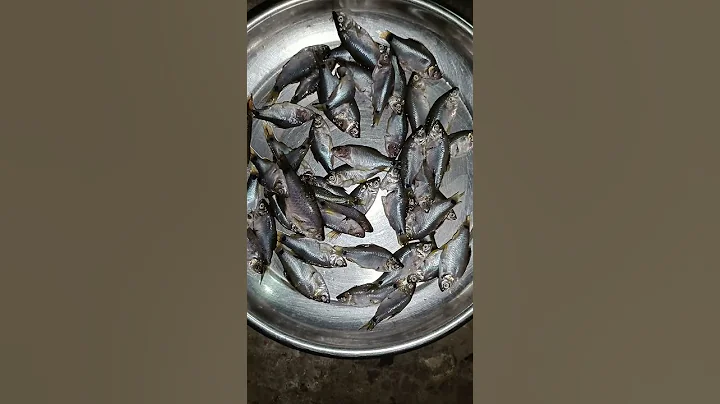 Fish Fry #fish #fishcurry #fishfry #cooking #recipe #food #shortvideo #short