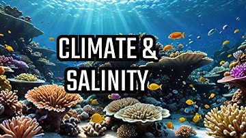 How Ocean Salinity Shapes Climate & Marine Life | The Science of Salt in Our Oceans