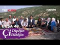 I dipjin i dibjin  bea 48mardindargeit