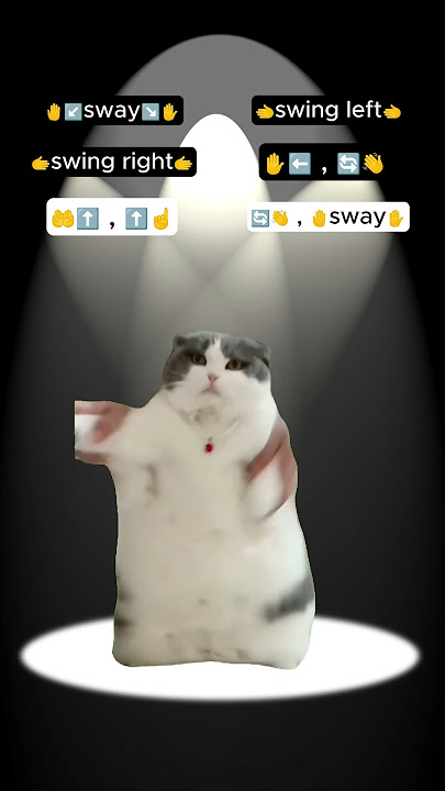 [WOP - J. Dash] TikTok Dance Tutorial #cat #funny #catmemes