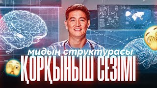 видео: ҚОРҚЫНЫШ vs МИ | Азамат Скаков картинка: ҚОРҚЫНЫШ vs МИ | Азамат Скаков