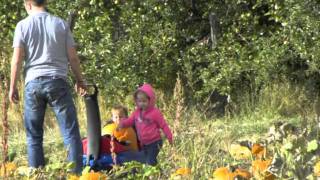 Pumpkin Patch 2011