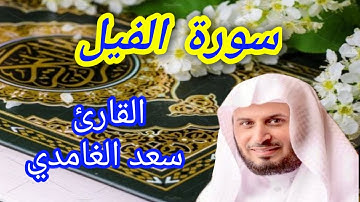 سورة الفيل - القارئ سعد الغامدي