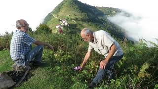 Kahvedüzü Vargit Çiçekleri Köprübaşı Trabzon Osman Aycicek Anısına
