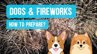 Fireworks and Dogs - How to Prepare?