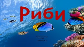 картинка: Риби. Будова риб.