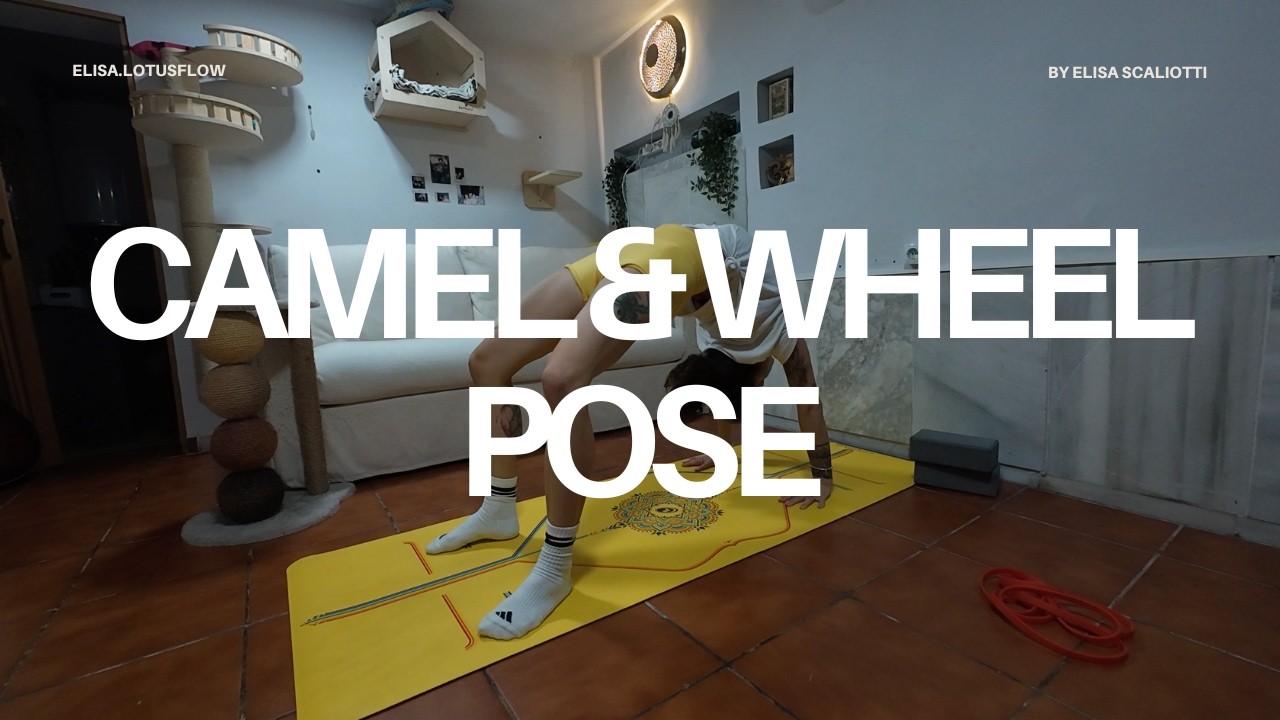 Trailer Backbends (10.06.2026)