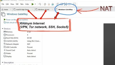 Как раздать анонимный интернет (VPN, TOR, Socks, SSH) из одной виртуалки в другую используя VMware?