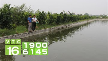 Kỹ thuật nuôi cá qua mùa đông I VTC16