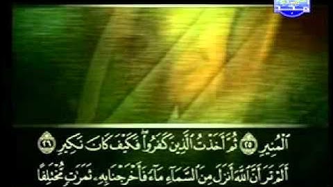 سورة فاطر الشيخ علي الحذيفي